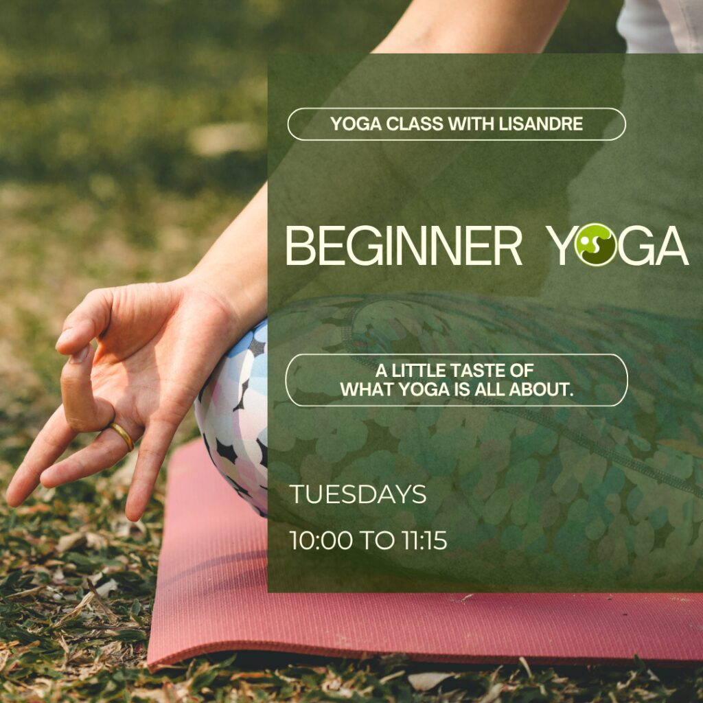 Beginner Yoga · Soulscape · Koh Phangan