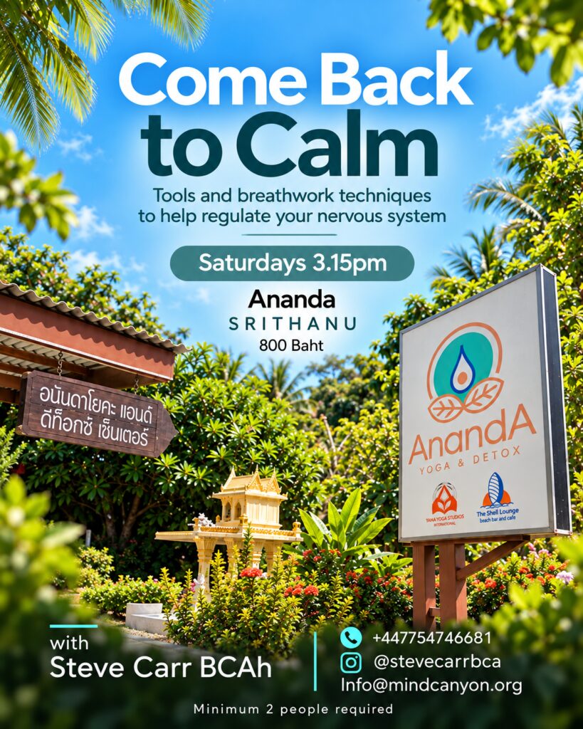 Come Back to Calm · Ananda Yoga & Detox · Koh Phangan