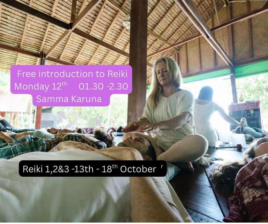 Free Demo: Introduction to Reiki · Samma Karuna · Koh Phangan