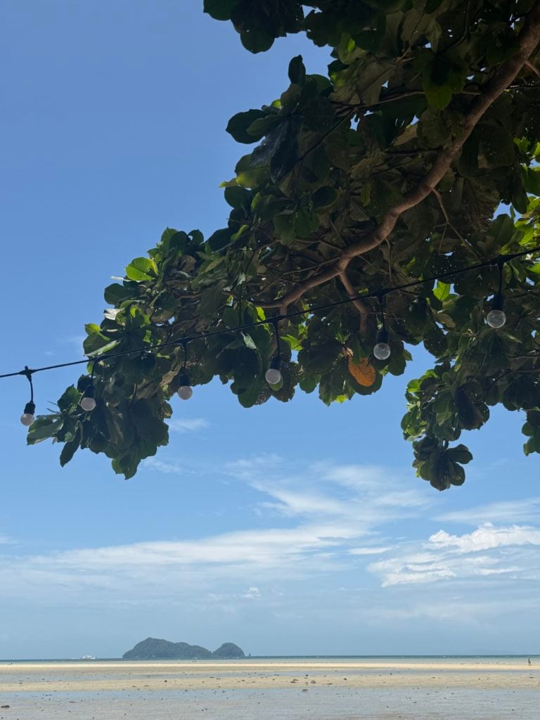 Hatha - Vinyasa Flow · Samma Karuna · Koh Phangan
