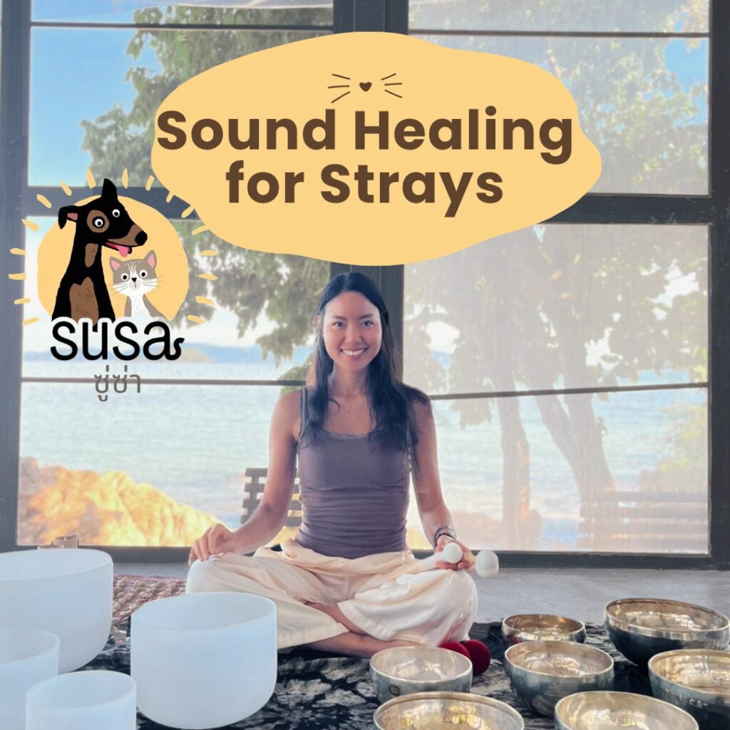 Sound Healing for Strays · One Yoga · Koh Phangan