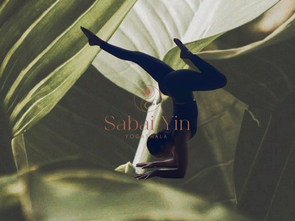 Vinyasa Flow · Sabai Yin Yogashala · Koh Phangan