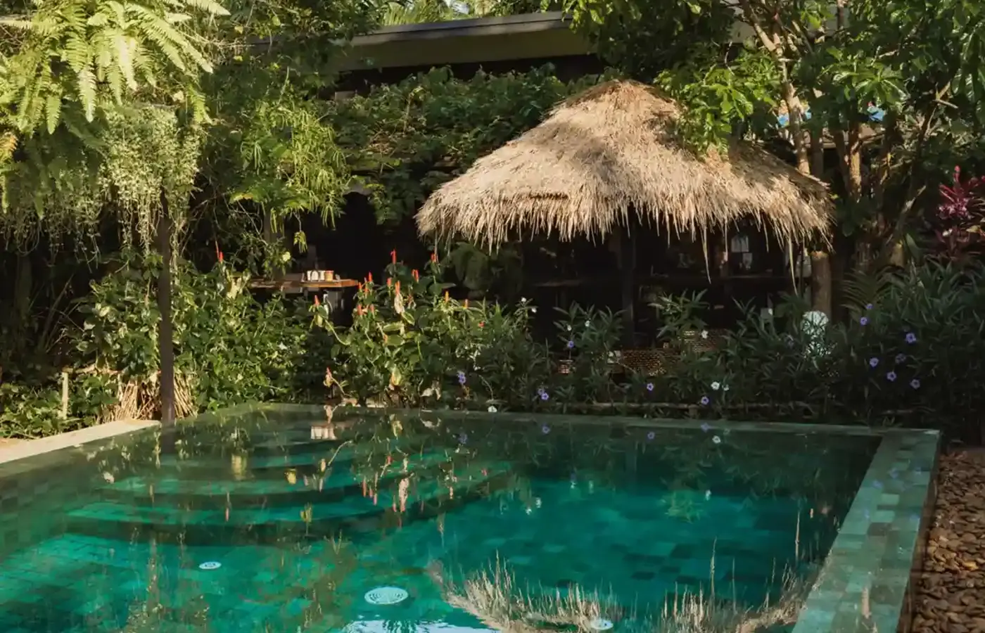 Tropical pool and garden at Common Grounds Coffee Koh Phangan