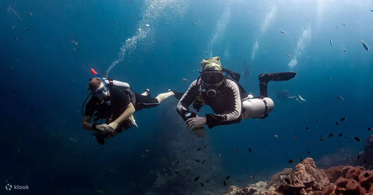 Scuba divers above a reef at Sail Rock